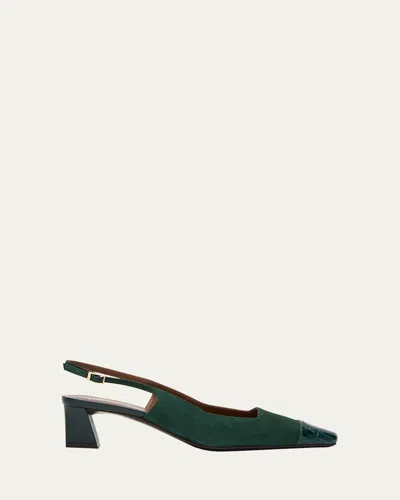 Giuseppe Zanotti Mixed Leather Cap-toe Slingback Pumps In Pavone