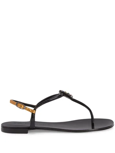 Giuseppe Zanotti Noussa Floral-appliqué Sandals In Black