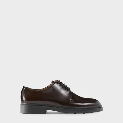 Giuseppe Zanotti Octavius In Brown