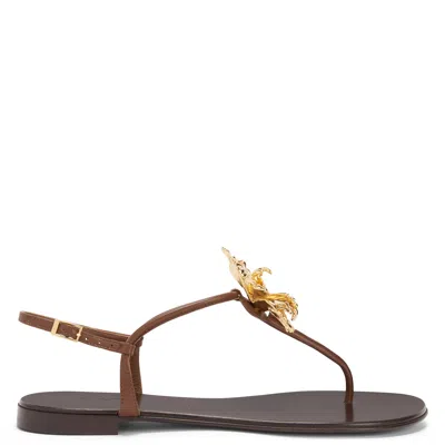 Giuseppe Zanotti Orchid Flat In Black