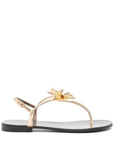 Giuseppe Zanotti Orchid Flat Sandals In Gold