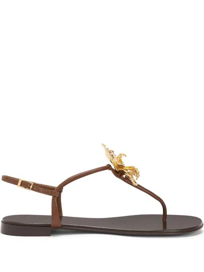 Giuseppe Zanotti Orchid Sandals In Brown