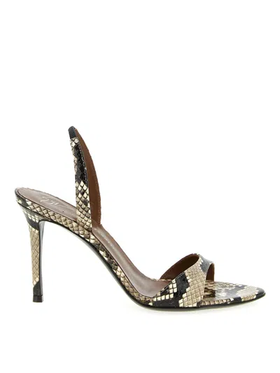 Giuseppe Zanotti Clandestino Patagonia Slingback Snake Print Sandals In Multi
