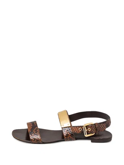 Pre-owned Giuseppe Zanotti Python Leather Flat Sandals In Brown