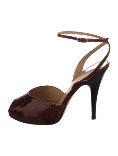 Pre-owned Giuseppe Zanotti Python Sandals In Black
