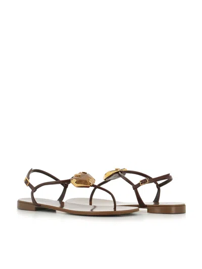 Giuseppe Zanotti Sandalo E600018-004 In Brown