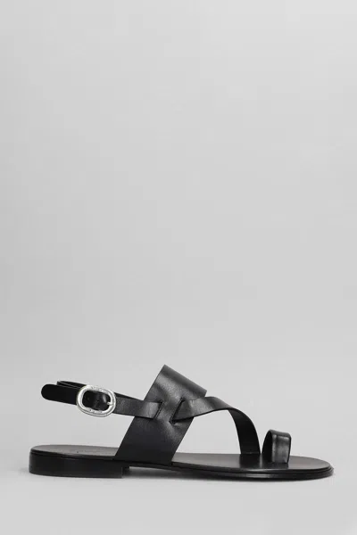 Giuseppe Zanotti Sandals In Black