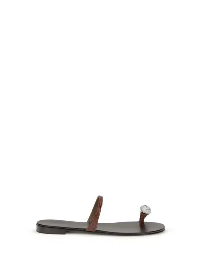 Giuseppe Zanotti Sandals In Brown