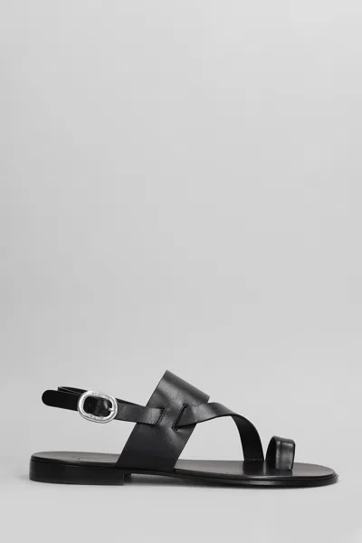 Giuseppe Zanotti Sandals In Black Leather
