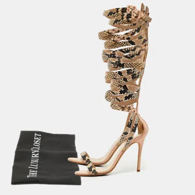Pre-owned Giuseppe Zanotti Size 36 Beige Python Embossed Leather Gladiator Sandals