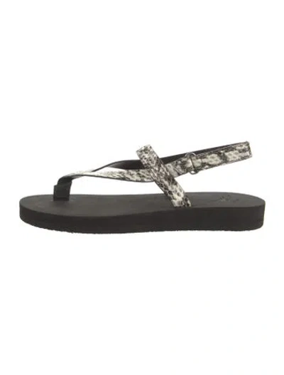 Pre-owned Giuseppe Zanotti Snakeskin Animal Print Sandals In Black