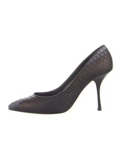 Pre-owned Giuseppe Zanotti Snakeskin Pumps In Multi