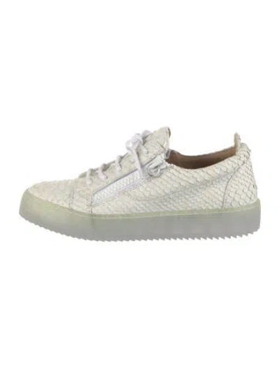 Pre-owned Giuseppe Zanotti Snakeskin Sneakers In White
