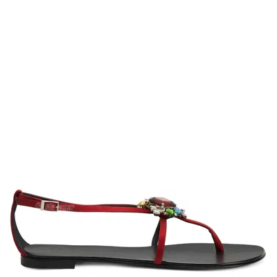Giuseppe Zanotti Tarassacum In Bordeaux