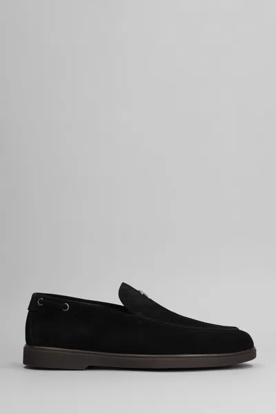 Giuseppe Zanotti The Maui Loafers In Black Suede