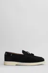 Giuseppe Zanotti The Maui Loafers In Black Suede In Black