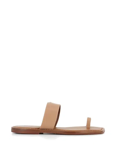 Giuseppe Zanotti Toe-strap Flat Sandals In Neutral