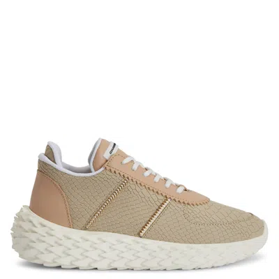 Giuseppe Zanotti Urchin Lace-overlay Sneakers In Beige