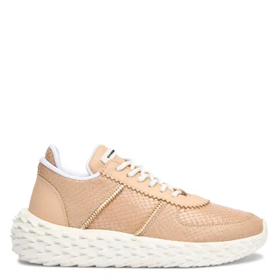 Giuseppe Zanotti Urchin Leather Sneakers In Beige