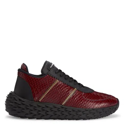 GIUSEPPE ZANOTTI URCHIN