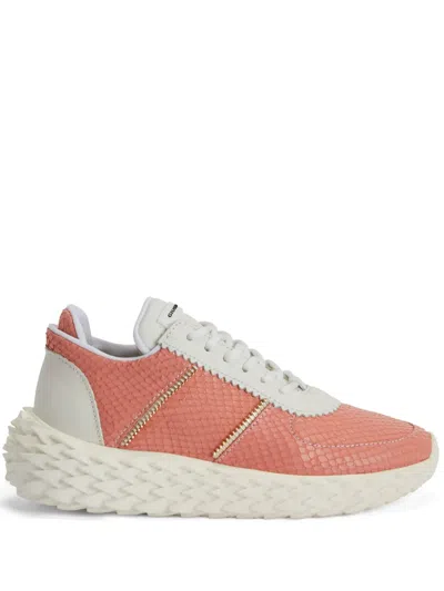 Giuseppe Zanotti Urchin Python-print Sneakers In Orange