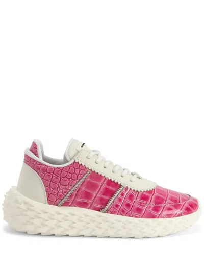 GIUSEPPE ZANOTTI URCHIN SNEAKERS