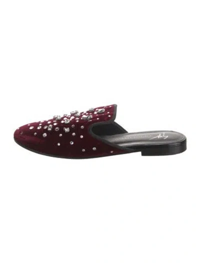 Pre-owned Giuseppe Zanotti Velvet Patterned Mules In Burgundy