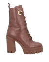 Giuseppe Zanotti Woman Ankle Boots Brown Size 6 Leather