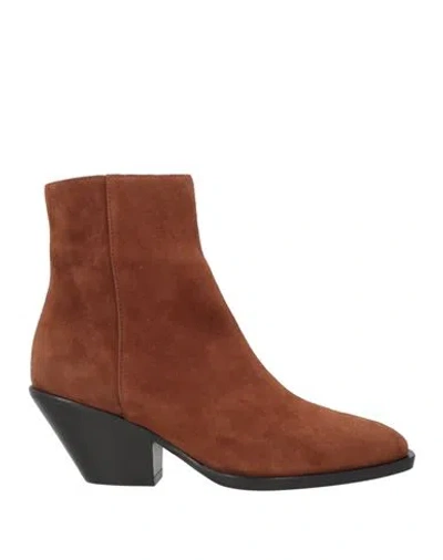 Giuseppe Zanotti Woman Ankle Boots Brown Size 6 Leather In Multi