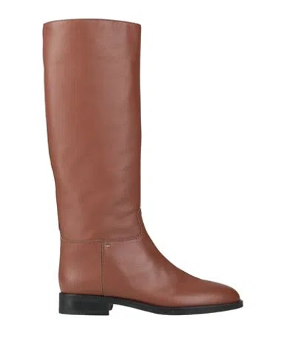 Giuseppe Zanotti Woman Boot Tan Size 8.5 Leather In Brown