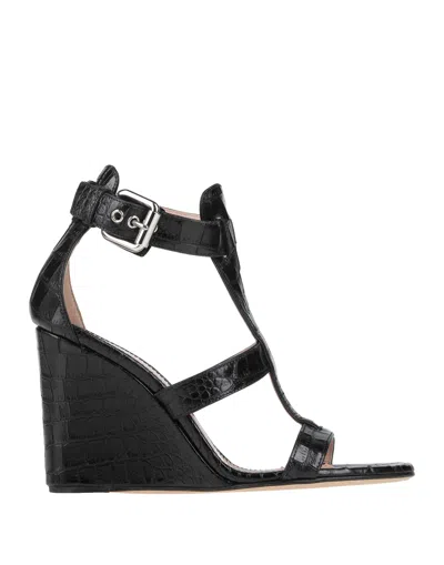 Giuseppe Zanotti Sandals In Black