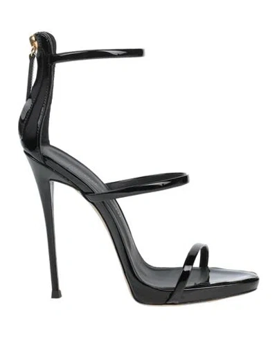 Giuseppe Zanotti Woman Sandals Black Size 6 Leather In Black