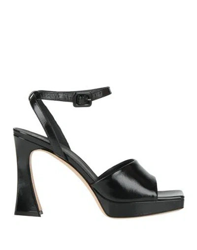 Giuseppe Zanotti Woman Sandals Black Size 7 Leather