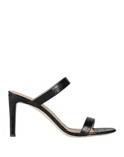 Giuseppe Zanotti Woman Sandals Black Size 8 Textile Fibers