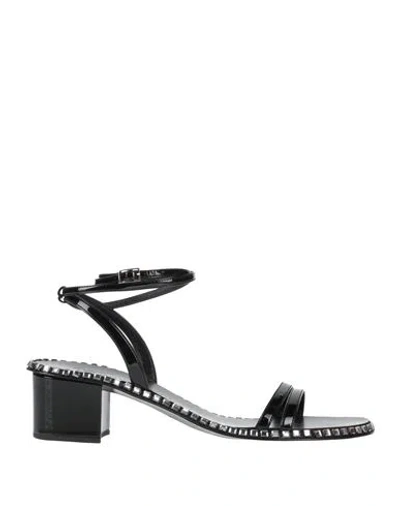 Giuseppe Zanotti Woman Sandals Black Size 8 Textile Fibers