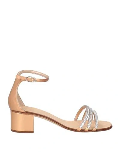Giuseppe Zanotti Woman Sandals Bronze Size 8 Leather In Multi