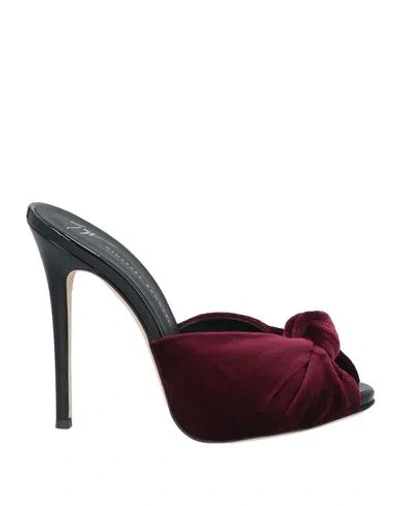 Giuseppe Zanotti Woman Sandals Burgundy Size 8 Textile Fibers In Red