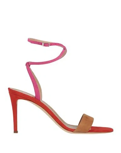 Giuseppe Zanotti Woman Sandals Camel Size 8 Leather In Beige