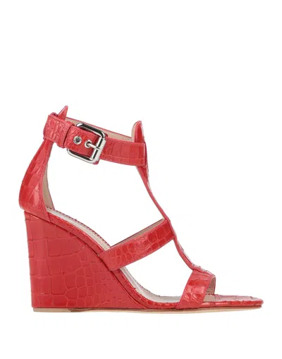Giuseppe Zanotti Sandals In Red