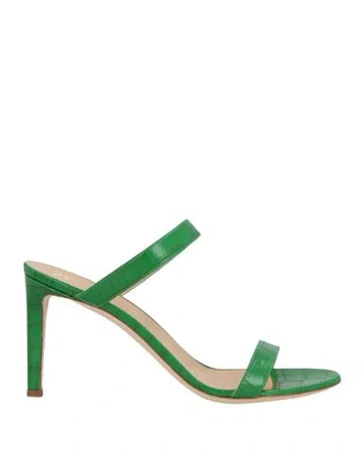 Giuseppe Zanotti Woman Sandals Green Size 8 Textile Fibers