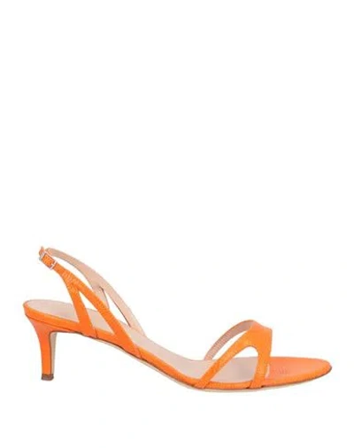Giuseppe Zanotti Woman Sandals Orange Size 10 Leather