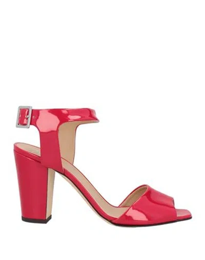 Giuseppe Zanotti Woman Sandals Red Size 7 Leather
