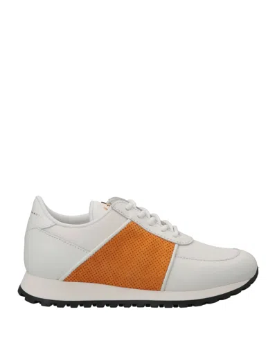 Giuseppe Zanotti Sneakers In White