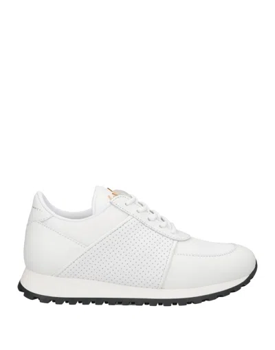 Giuseppe Zanotti Sneakers In White