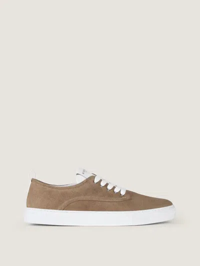 Givenchy Basket Giv E26 Sneaker In Neutral
