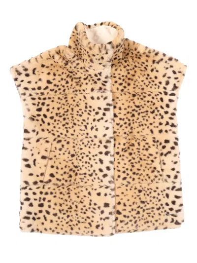 Givenchy Kids Giubbotto Senza Maniche In Animal Print