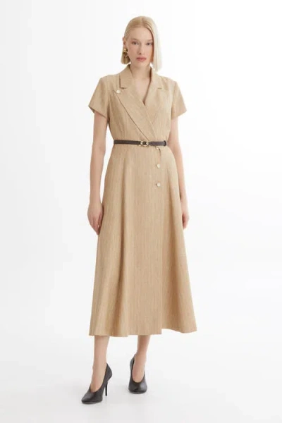 Gizia Brown Belted Flounce Dress