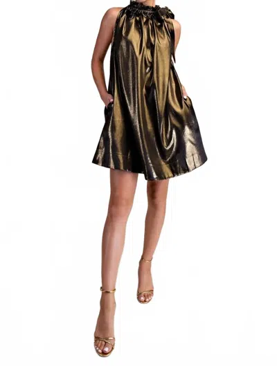 Glam Nadine Round Neck Tie Mini Dress In Black/gold
