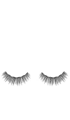 VIRGO 假睫毛 – N/A