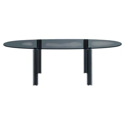 Pre-owned Glas Italia X-t Oval Table 260 Cm (102.4 In) In Smoked Glass By Piero Lissoni In Gray